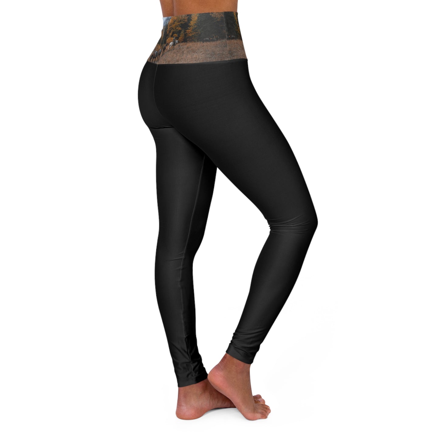 The Lost Trail Leggings