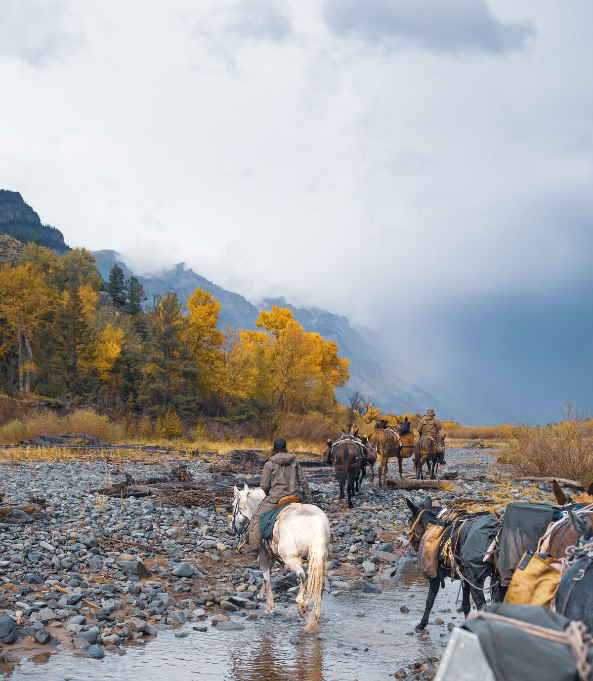 Yellowstone Ranch Helpers Gallery – YELLOWSTONE RANCH COMPANY